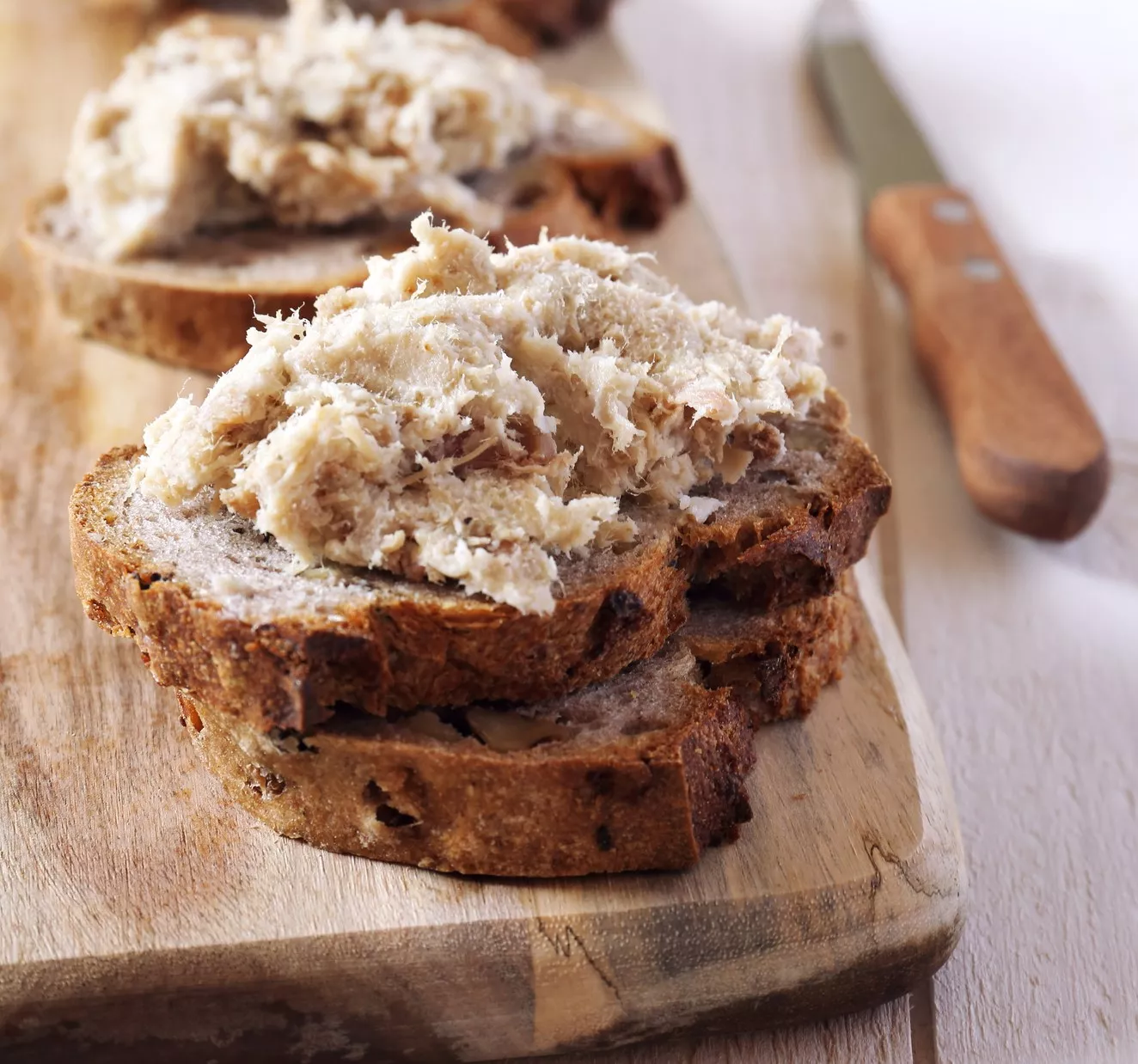 Králičí rillettes [rijet]